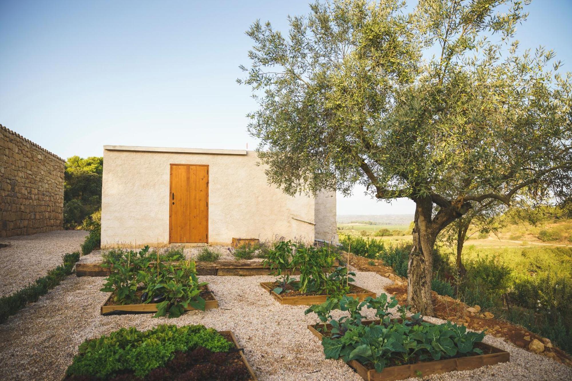 Casa Rural Mas Del Serranet Horta de Sant Joan Eksteriør billede